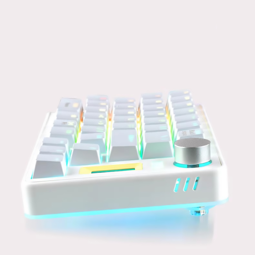 Programmable Ergonomic Split K - Keyboard Gaming Mac recensie en prijs