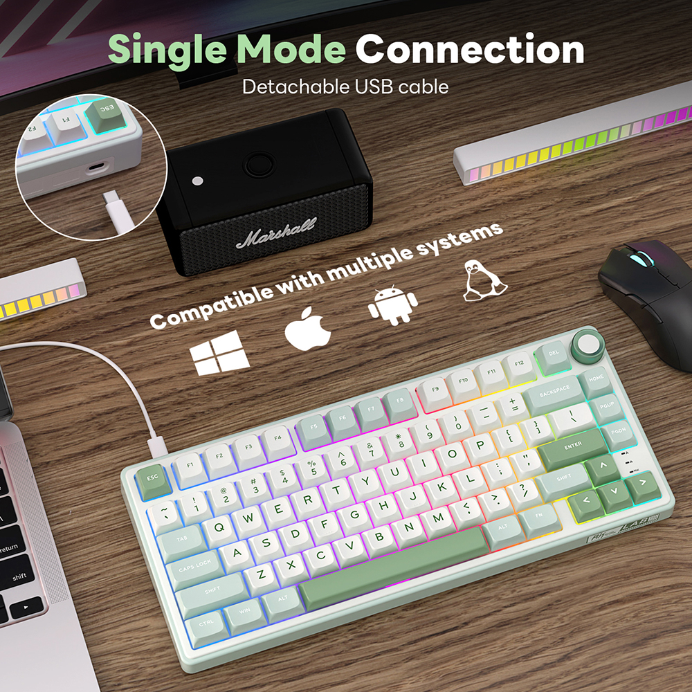 RK Royal Kludge R75 Gasket Wir - Gaming Keyboard Mobile recensie en prijs