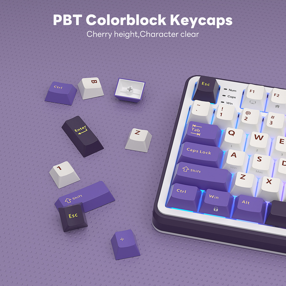 RK S98 ROYAL KLUDGE Wireless G - Gaming Keyboard Thocky recensie en prijs